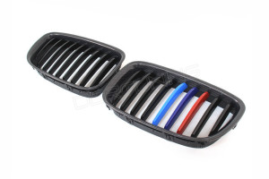 BMW 5 Series GT F07 Carbon Fiber Front Grille (1)